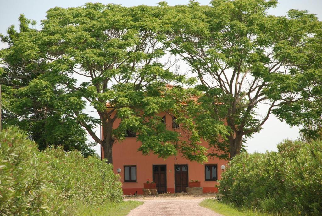 Agriturismo Le Coccinelle Guest House Маляно ин Тоскана Екстериор снимка