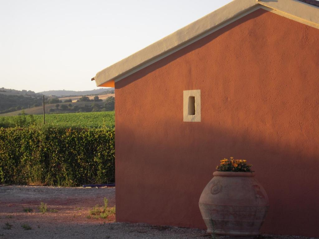 Agriturismo Le Coccinelle Guest House Маляно ин Тоскана Екстериор снимка