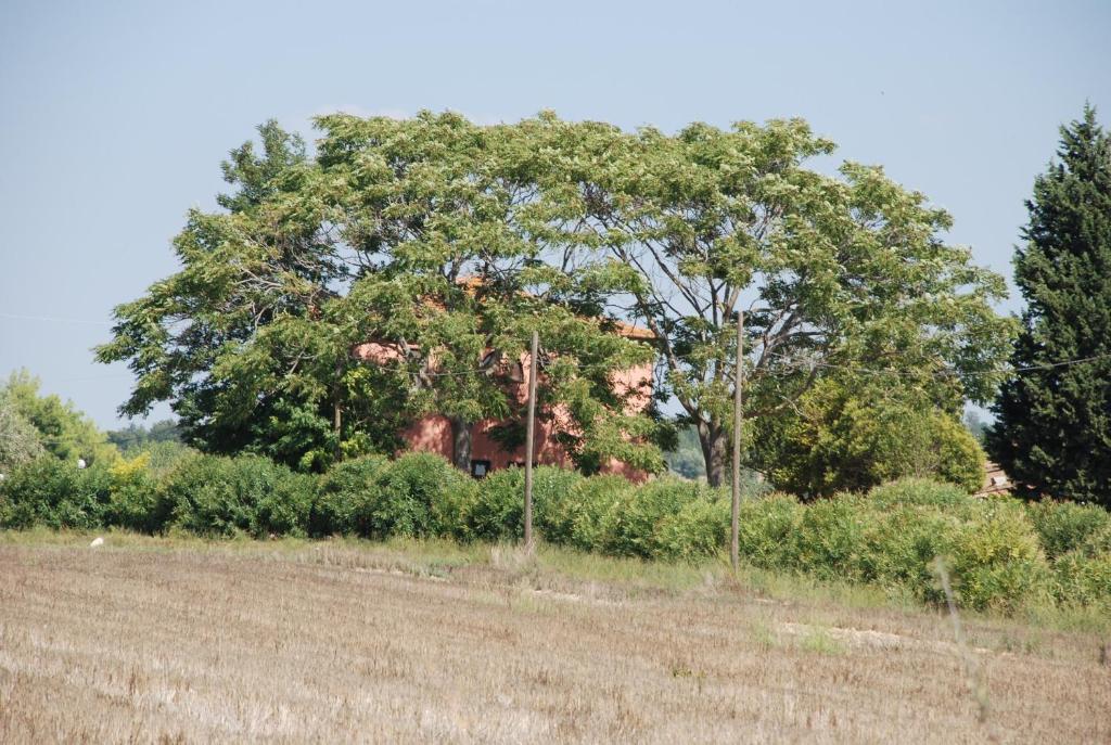 Agriturismo Le Coccinelle Guest House Маляно ин Тоскана Екстериор снимка