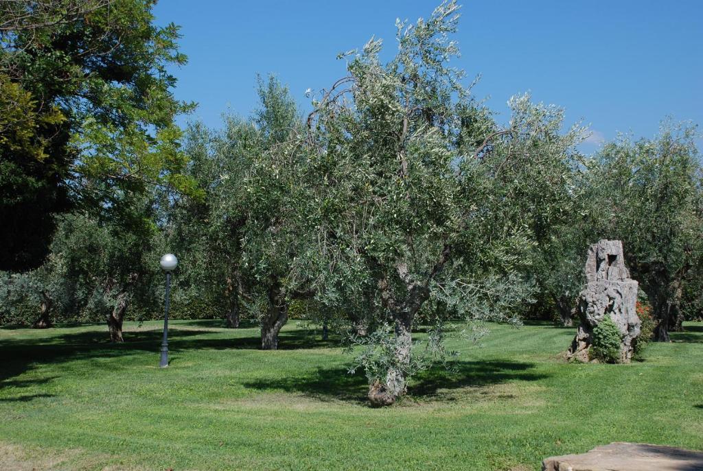 Agriturismo Le Coccinelle Guest House Маляно ин Тоскана Екстериор снимка
