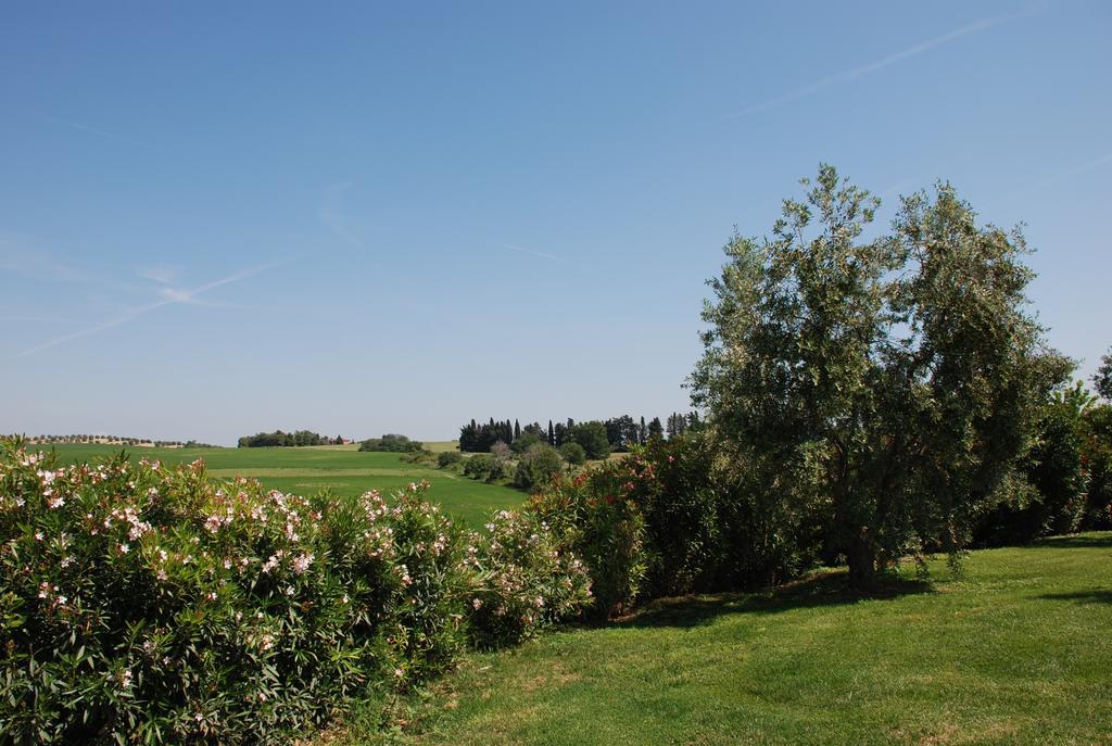 Agriturismo Le Coccinelle Guest House Маляно ин Тоскана Екстериор снимка