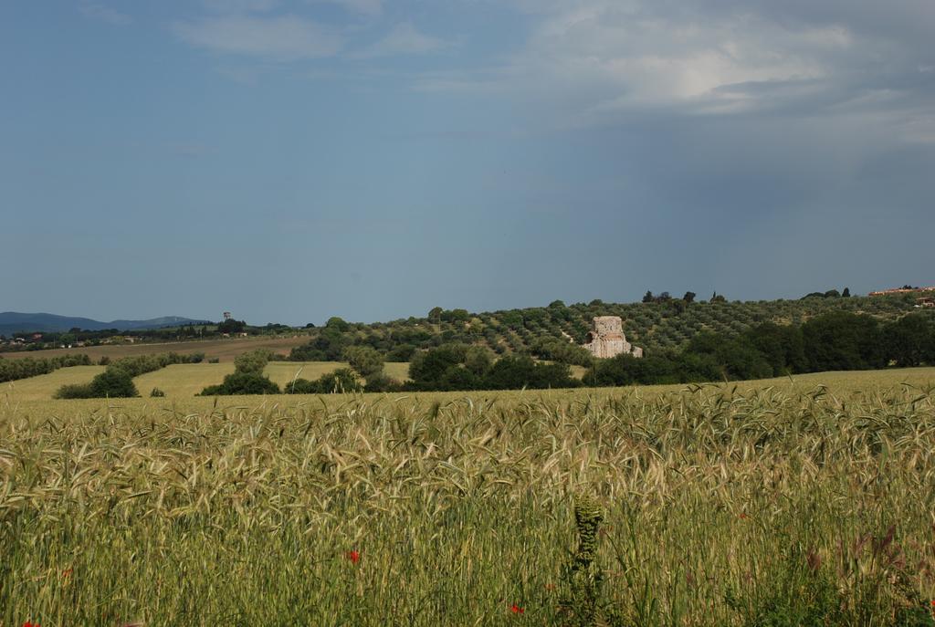 Agriturismo Le Coccinelle Guest House Маляно ин Тоскана Екстериор снимка